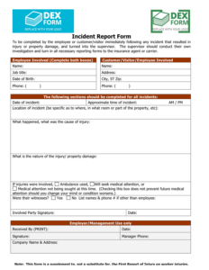 Insurance Incident Report Template 1 TEMPLATES EXAMPLE Incident