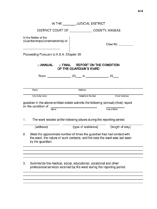 Kansas Guardianship Annual Report Form Fill Online Printable