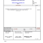 Liquidation Report Fill And Sign Printable Template Online US Legal
