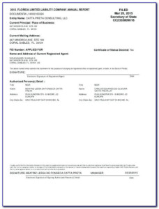 Llc Annual Report Florida Template