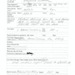Medication Incident Report Form Template 2 TEMPLATES EXAMPLE