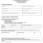 Michigan Annual Report Form Fill Out And Sign Printable PDF Template