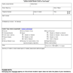 MN DHS Critical Incident Reporting Form 2013 Fill And Sign Printable