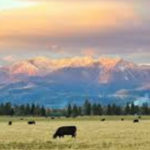 Montana Workers Compensation Settlement Loans Lawsuit Loans