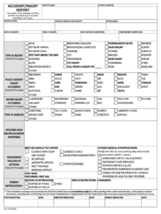 NJ Accident Injury Report 2018 2022 Fill And Sign Printable Template