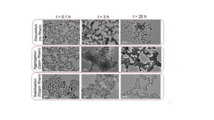 NSF Award Search Award 1705346 UNS Collaborative Research