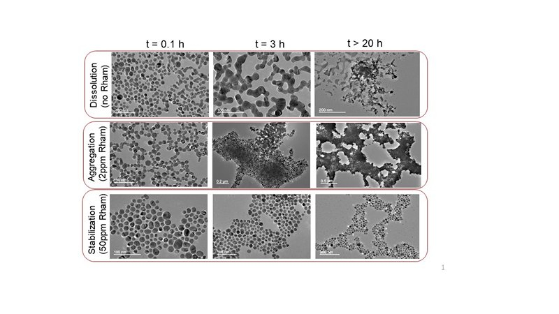 NSF Award Search Award 1705346 UNS Collaborative Research 