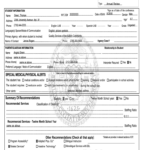 Nyc Doe Iep Template Fill Online Printable Fillable Blank PdfFiller