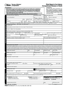 Ohio Bwc First Report Of Injury Form Fill Out And Sign Printable PDF