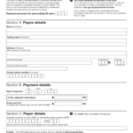 PAYG Payment Summary Withholding Fill Out And Sign Printable PDF