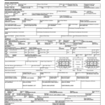 Police Accident Report Form Fill Out And Sign Printable PDF Template