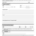 Preschool Incident Report Sample 2020 2021 Fill And Sign Printable