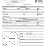 Printable Vehicle Accident Report Form Printable Form 2021