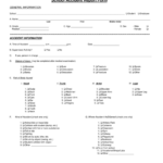 School Accident Report Form Fill Out Sign Online And Download PDF