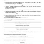 Sec Form 20 F Registration Statement annual Report transition Report
