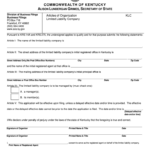 Secretary Of State Annual Reports Sos Ky Gov Fill Out And Sign