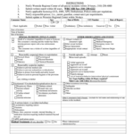 Special Incident Report Arf Fill Out Sign Online DocHub