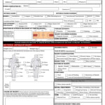 Sports Injury Report Form Fill Out And Sign Printable Pdf Template