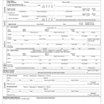 Texas Blue Form Fill Out And Sign Printable Pdf Template Signnow