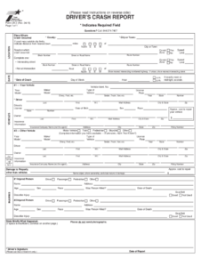 Texas Blue Form Fill Out And Sign Printable PDF Template SignNow