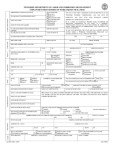 Tn First Report Of Injury Fill Out Sign Online DocHub