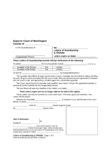 Washington Guardianship Form Fill Out And Sign Printable PDF Template