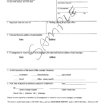 Wisconsin Foreign Lemited Liability Company Annual Report Form 1999